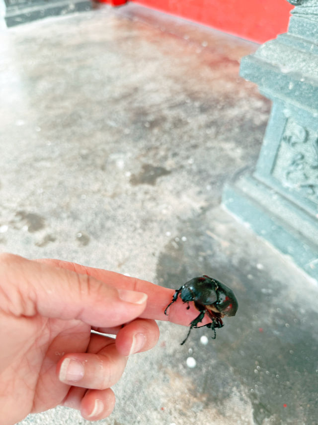 綠島溫泉土地公|溫泉靈脈的守護神,在蒸騰熱氣裡靜候人間祈願 綠島溫泉土地公|溫泉靈脈的守護神,在蒸騰熱氣裡靜候人間祈願