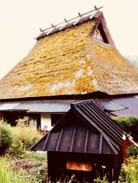 🏡「時光慢下來，走進茅草屋的田園故事。」