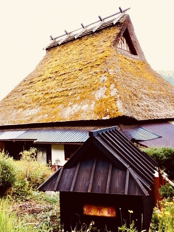 🏡「時光慢下來，走進茅草屋的田園故事。」