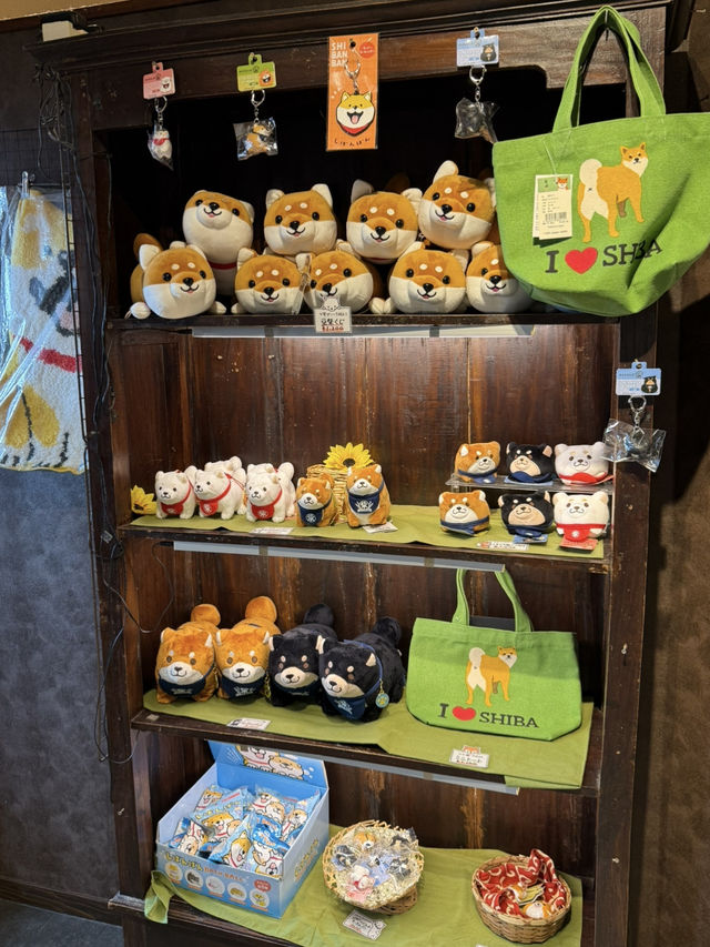 🐾 유후인에서 만난 강아지 카페, 시바카페(Shiba Cafe) 후기! ✨