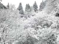 日本玩-「銀山溫泉」一個凝結在日本大正時代及宮崎駿童話裡的雪白世界，此生必訪！