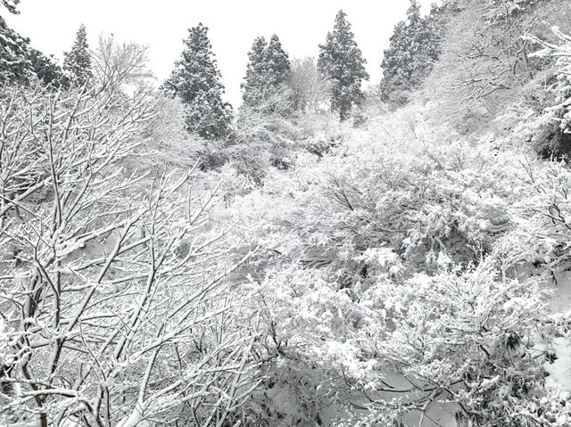 日本玩-「銀山溫泉」一個凝結在日本大正時代及宮崎駿童話裡的雪白世界，此生必訪！