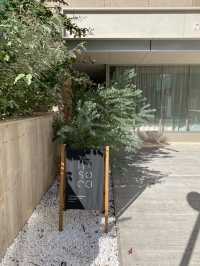 池袋にひっそり佇むおしゃれホテル🦢