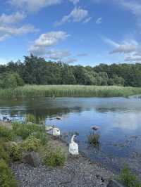 【ヘルシンキ】Töölö bay