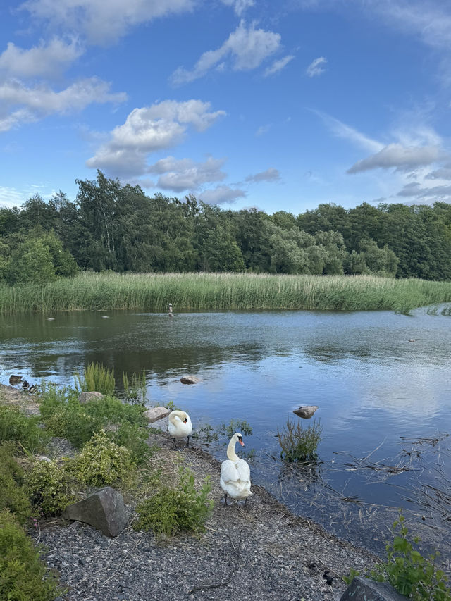 【ヘルシンキ】Töölö bay