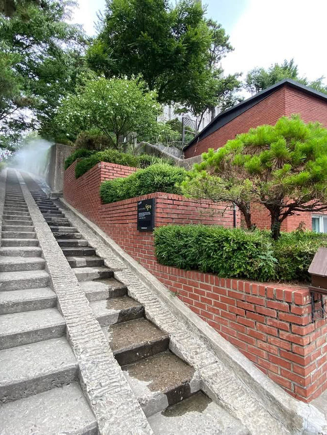 大邱🇰🇷 近代胡同漫步巡禮｜有歷史又有美食👣