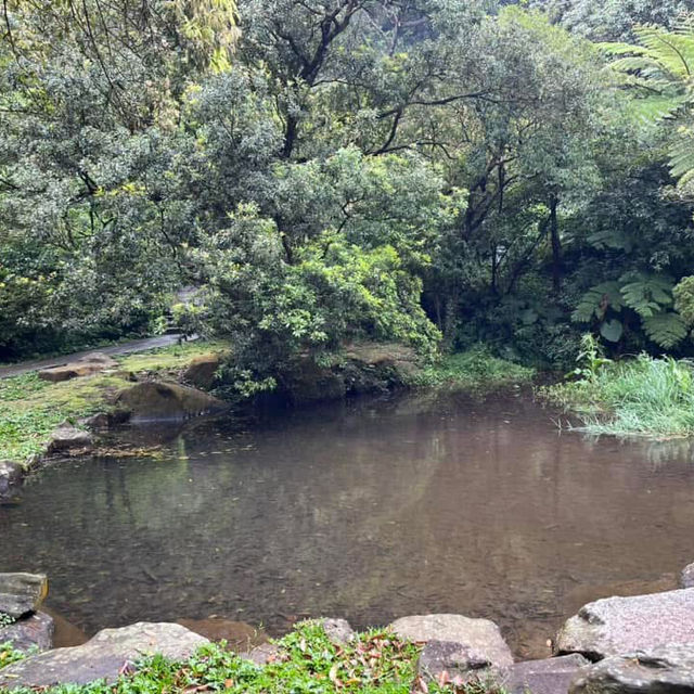 🌸⛰️ Yangming Park – The Heart of Yangmingshan 🌳✨
