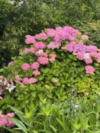 ใใใฅใผใธใผใฉใณใใปใใใผใใณใๅญฃ็ฏใฎ่ฑใ
ใจ็ใใฎ็ฉบ้ใใใใผใใณใปใใฟใใใฏใปใฌใผใใณใ๐ผ๐๏ธ