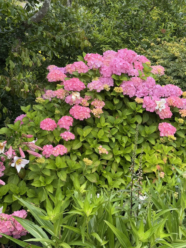 ใใใฅใผใธใผใฉใณใใปใใใผใใณใๅญฃ็ฏใฎ่ฑใ
ใจ็ใใฎ็ฉบ้ใใใใผใใณใปใใฟใใใฏใปใฌใผใใณใ๐ผ๐๏ธ ใใใฅใผใธใผใฉใณใใปใใใผใใณใๅญฃ็ฏใฎ่ฑใ
ใจ็ใใฎ็ฉบ้ใใใใผใใณใปใใฟใใใฏใปใฌใผใใณใ๐ผ๐๏ธ