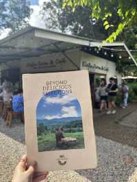 🇹🇭不騎大象也能裝可愛「Elefin Farm & Cafe」
