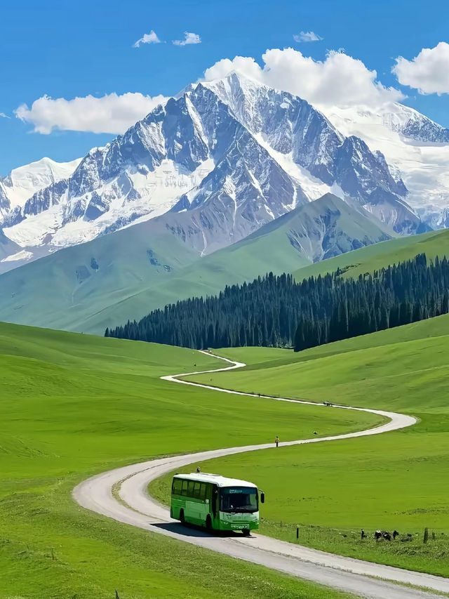 Xinjiang 🌲 Xinjiang 🌲