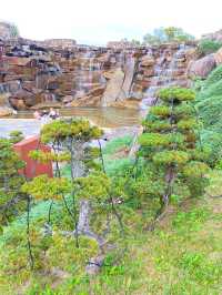 ┃香川県まんのう町┃秋限定の花畑コスモス