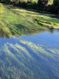 💙 Blue Spring: Earth’s Liquid Crystal in Pure NZ! 🌿
