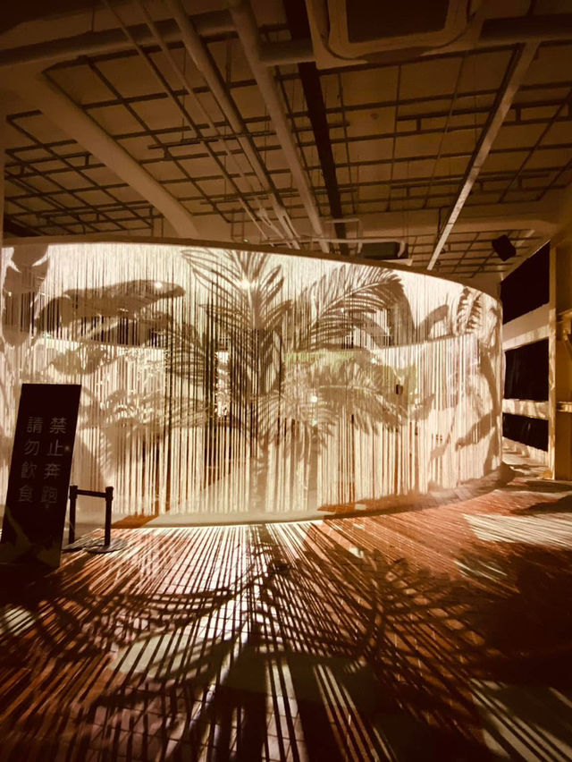 台版teamlab🎨 小孩愛瘋的沈浸式體驗 屏菸1936文化基地