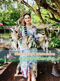 🌟ชมความน่ารักของ”ฝูงลีเมอร์หางแหวน“ แห่งแรกในไทย