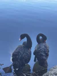 珠海圓明新園1:1