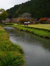 第５代当主朝倉義景が住んだ館の跡
