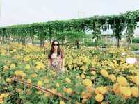 งานเมล็ดพันธุ์ บริษัทศรแดง