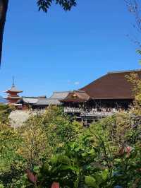 One Day Trip Kyotoหนึ่งวันสุดฟิน เดินสองหมื่นก้าว