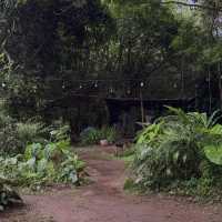 คาเฟ่สไตล์บ้านกลางป่า สุดร่มรื่น จ.เชียงใหม่