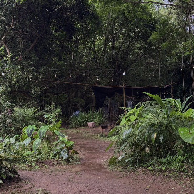 คาเฟ่สไตล์บ้านกลางป่า สุดร่มรื่น จ.เชียงใหม่ คาเฟ่สไตล์บ้านกลางป่า สุดร่มรื่น จ.เชียงใหม่