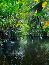 Unplug & Unwind: My Open-Air Stay in Hulu Langat