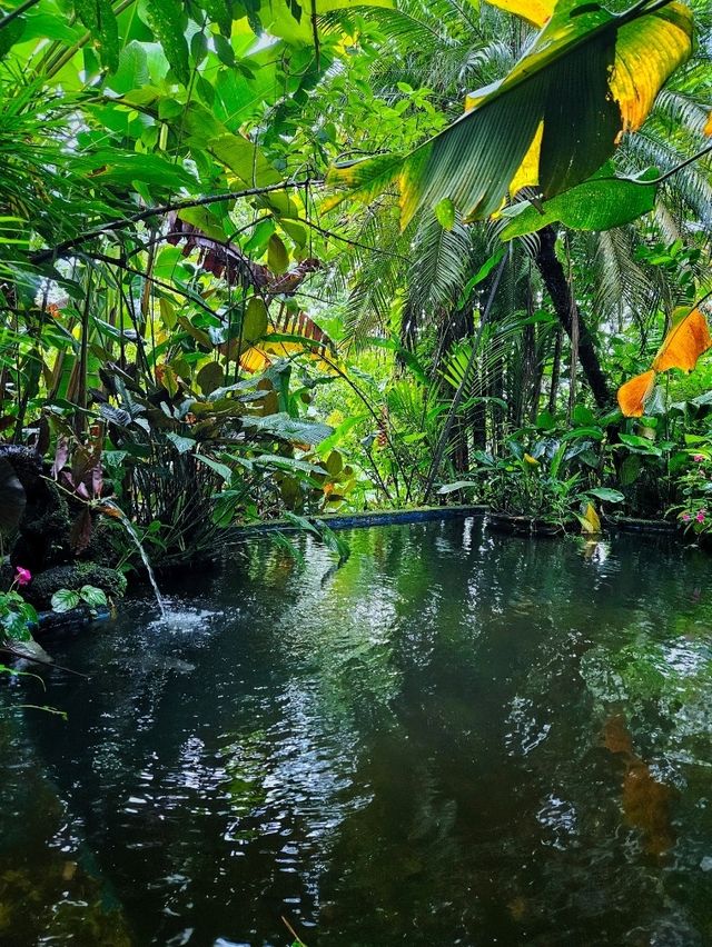 Unplug & Unwind: My Open-Air Stay in Hulu Langat Unplug & Unwind: My Open-Air Stay in Hulu Langat