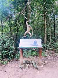 เส้นทางศึกษาธรรมชาติผาดอกเสี้ยว