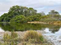 Isla Isabela Discover Untamed Beauty