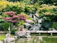 The Soloist's London Kyoto: Holland Park Garden