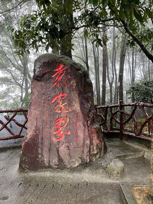 🌲 Zhangjiajie National Forest Park — The Ultimate 2-Day Guide for First-Timers 🌄