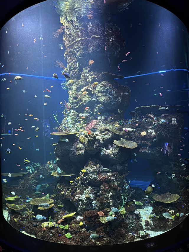 싱가포르 여행일정 공유 - DAY2 🇸🇬