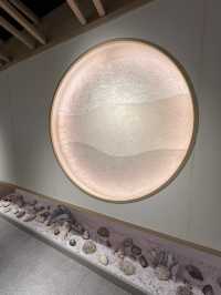 銅鑼灣omakase午餐🍣