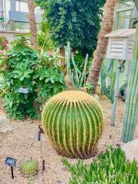 키치조지에서 우연히 찾은 도심 속 식물원 🌿