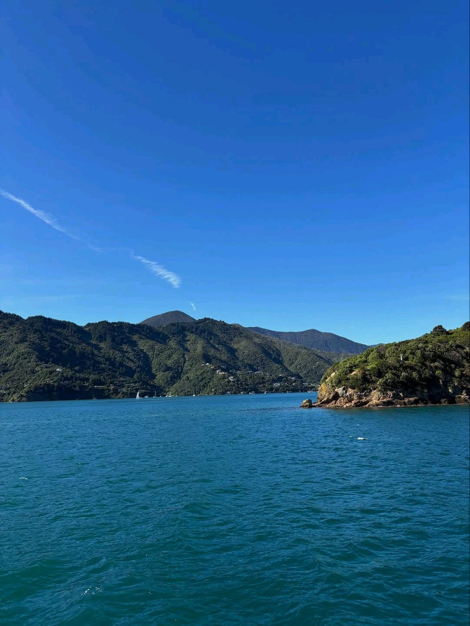 Adventure and Calm Along the Queen Charlotte Sound