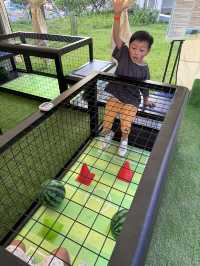 【 海濱夏日嘉年華「啟德玩玩夏」 】