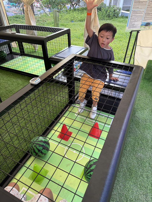 【 海濱夏日嘉年華「啟德玩玩夏」 】