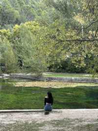 南法泉水城 Fontaine-de-Vaucluse💚被綠泉水治癒的一天