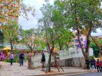 Chihu Coffee Culture Park