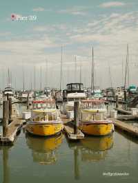 🇺🇸 San Francisco: Where to Go