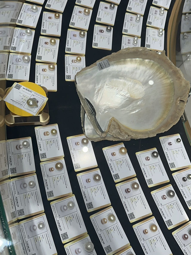 Where Phu Quoc’s Ocean Creates Its Treasures Where Phu Quoc’s Ocean Creates Its Treasures