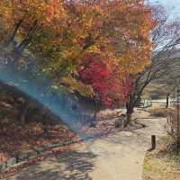 Sangdang Sanseong Fortress 상당산성