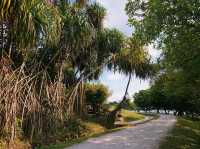 Lakeside Serenity: A Stroll at Putrajaya Wetlands 🌊