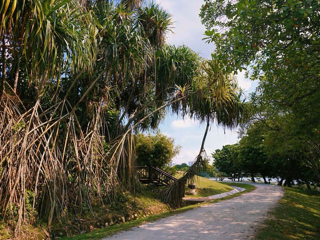 Lakeside Serenity: A Stroll at Putrajaya Wetlands 🌊 Lakeside Serenity: A Stroll at Putrajaya Wetlands 🌊