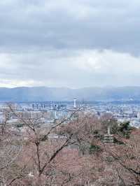 ⛩️京都清水寺｜一次走進千年古都的浪漫與驚嘆✨