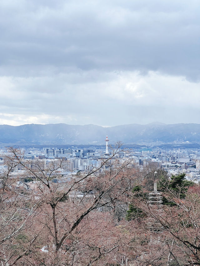 ⛩️京都清水寺｜一次走進千年古都的浪漫與驚嘆✨