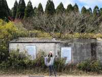 🍂秋日阿蘇山:米塚的金色光影、草千里的高原風、火山的震撼能量