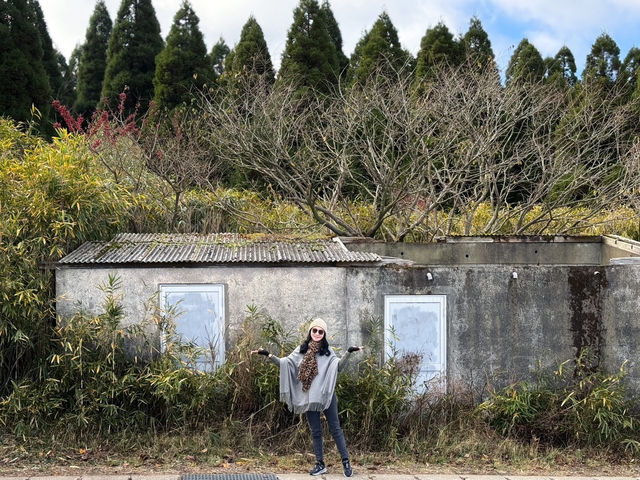 🍂秋日阿蘇山:米塚的金色光影、草千里的高原風、火山的震撼能量 🍂秋日阿蘇山:米塚的金色光影、草千里的高原風、火山的震撼能量
