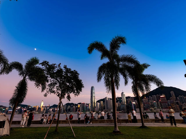 A Symphony of Steel and Starlight: West Kowloon After Dark A Symphony of Steel and Starlight: West Kowloon After Dark