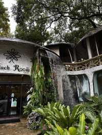 Rainforest Escape🌴